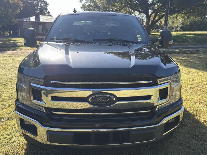 Ford F-150 XLT SuperCrew 5.5-ft. Bed 4WD 2019