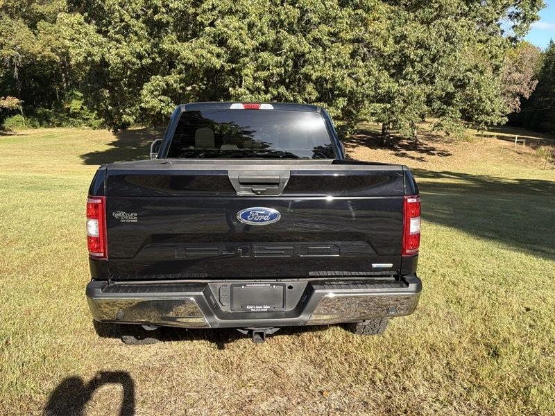 Ford F-150 XLT SuperCrew 5.5-ft. Bed 4WD 2019