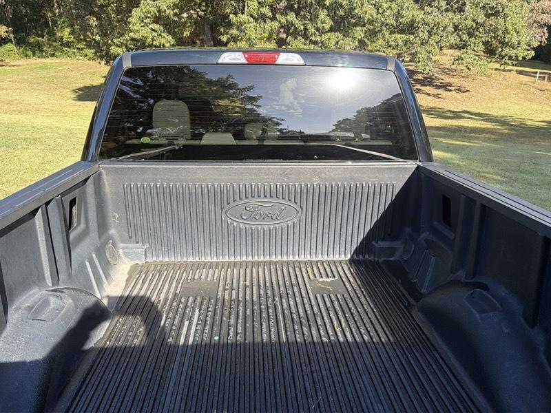 Ford F-150 XLT SuperCrew 5.5-ft. Bed 4WD 2019
