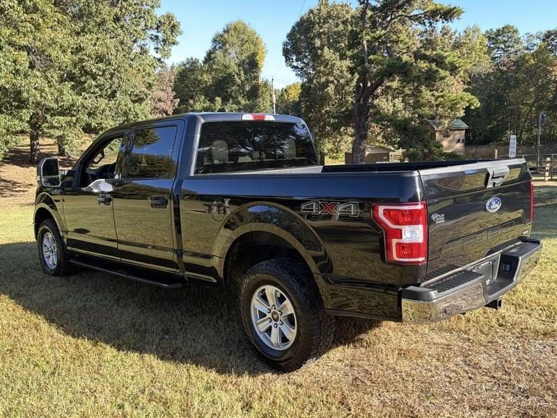 Ford F-150 XLT SuperCrew 5.5-ft. Bed 4WD 2019