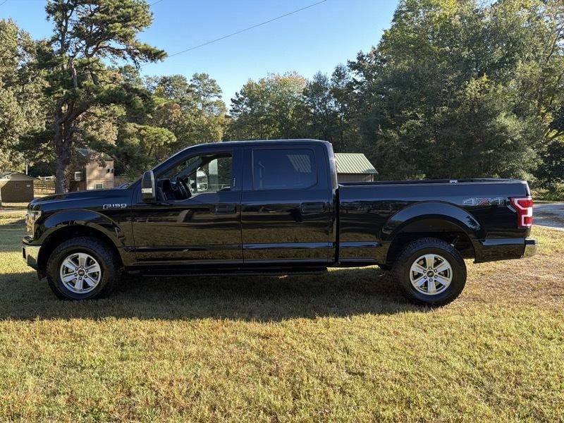 Ford F-150 XLT SuperCrew 5.5-ft. Bed 4WD 2019