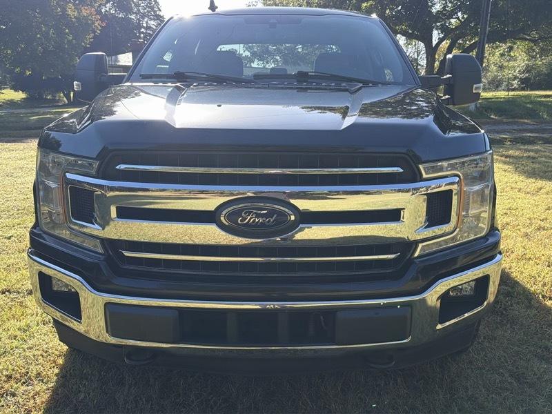 Ford F-150 XLT SuperCrew 5.5-ft. Bed 4WD 2019