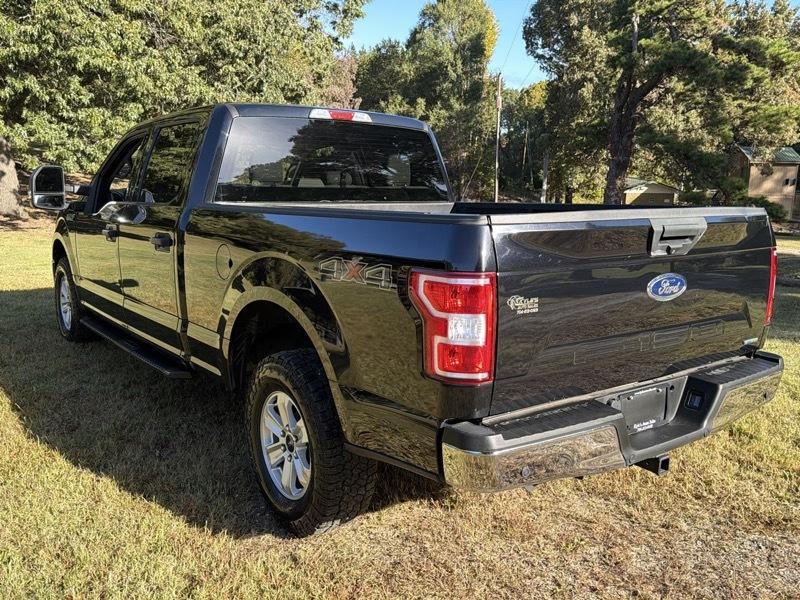 Ford F-150 XLT SuperCrew 5.5-ft. Bed 4WD 2019