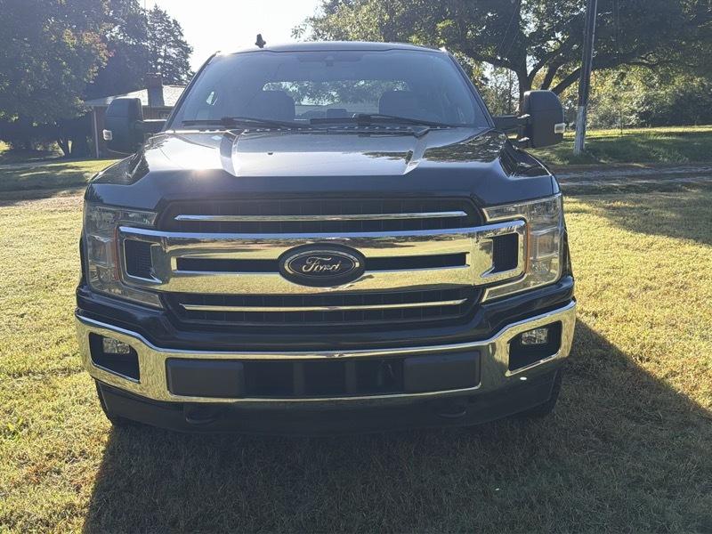 Ford F-150 XLT SuperCrew 5.5-ft. Bed 4WD 2019