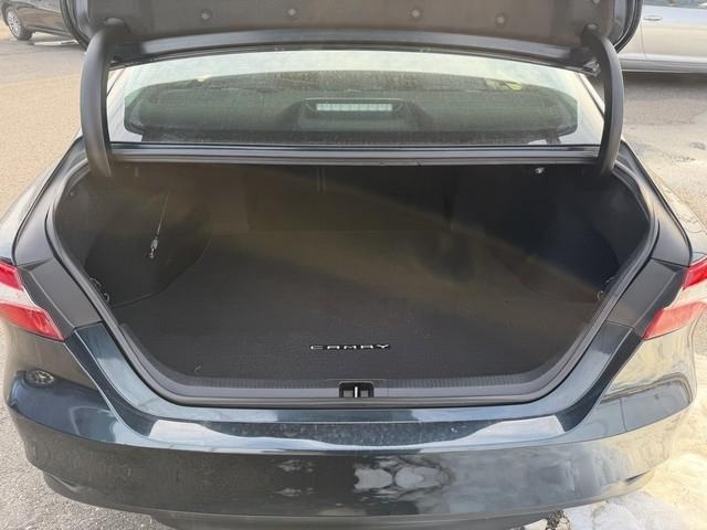 Toyota Camry XLE Auto (Natl) 2018