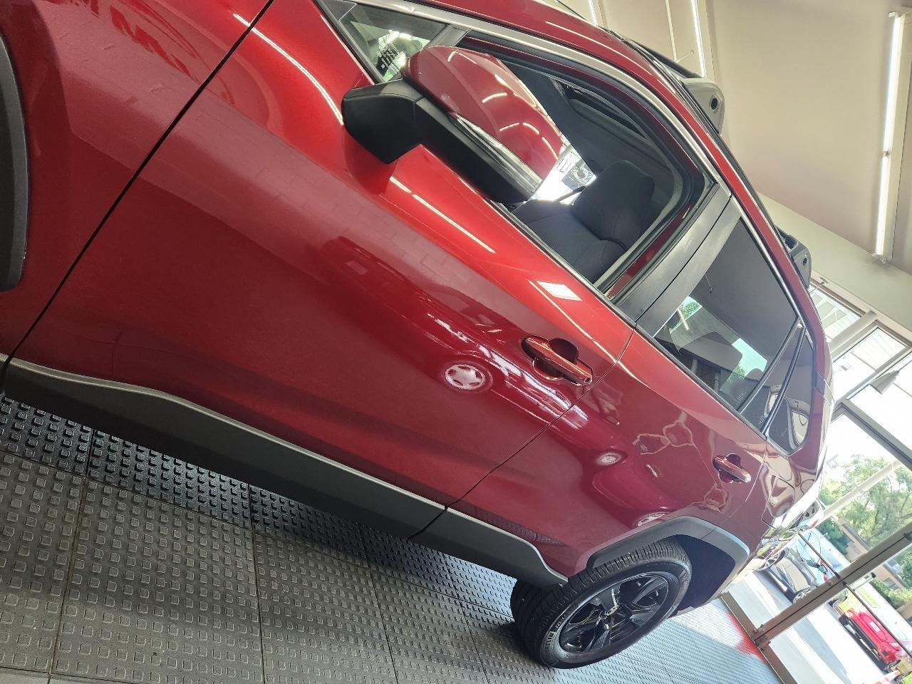 Toyota RAV4 XLE 2019