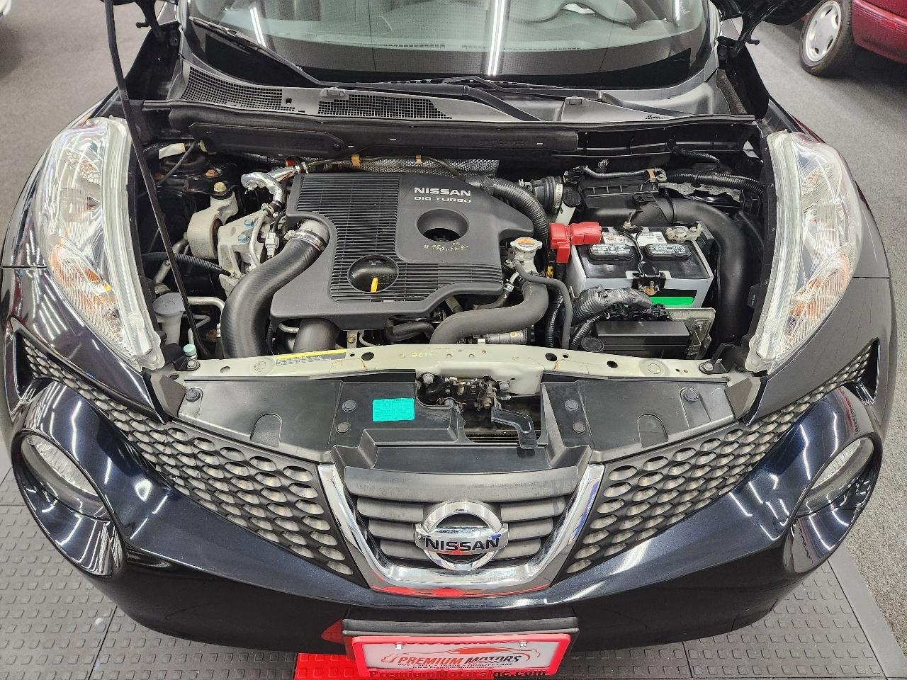 Nissan Juke  2013