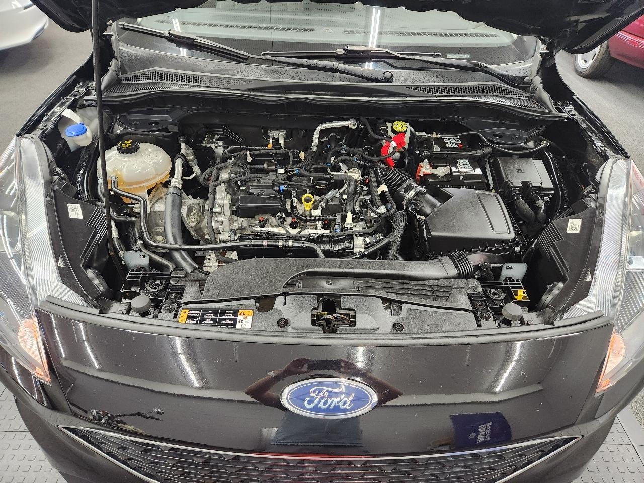 Ford Escape SE 2021