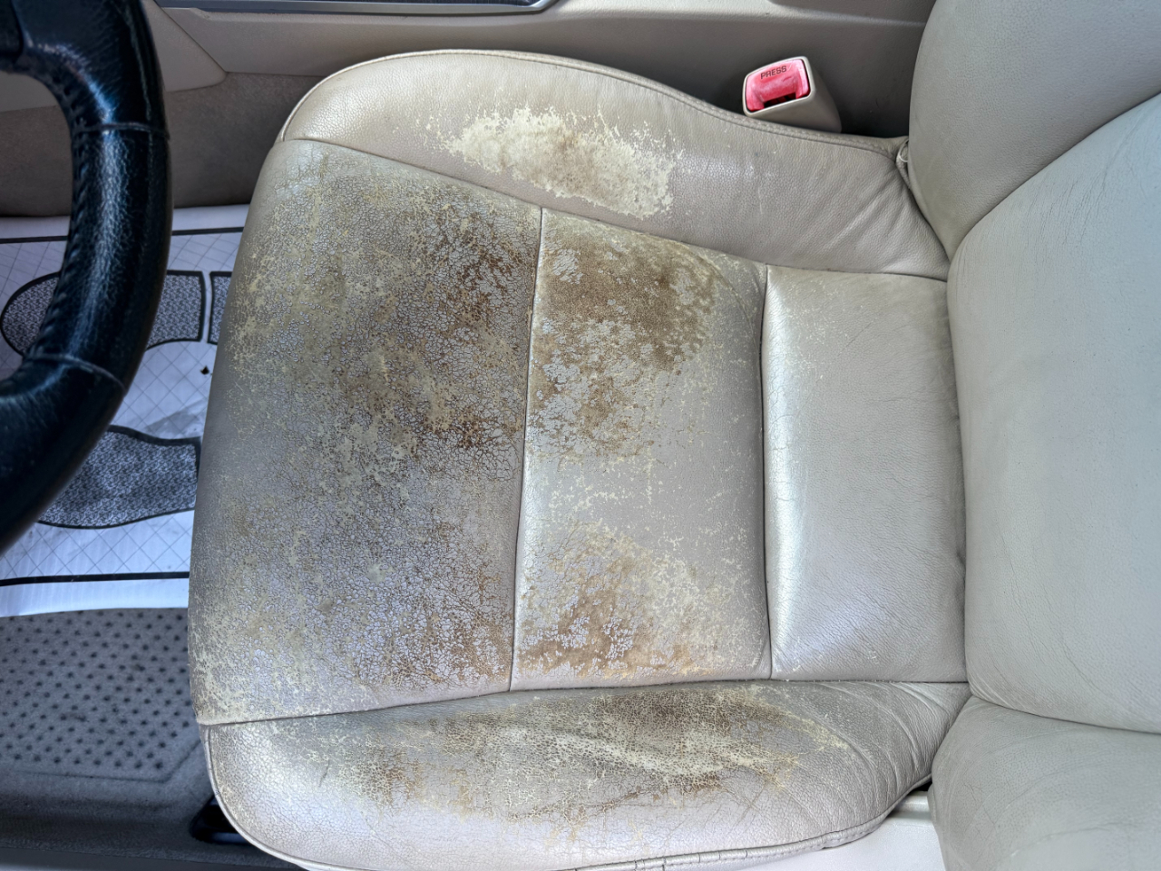 Toyota Camry Hybrid 4dr Sdn XLE (Natl) 2013