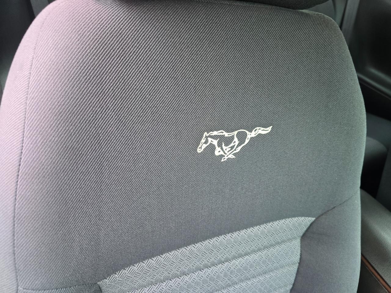 Ford Mustang 2dr Cpe GT Deluxe 2004