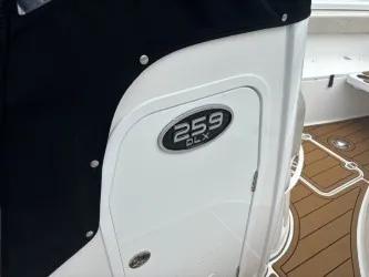Sea Pro 259 DLX  2023