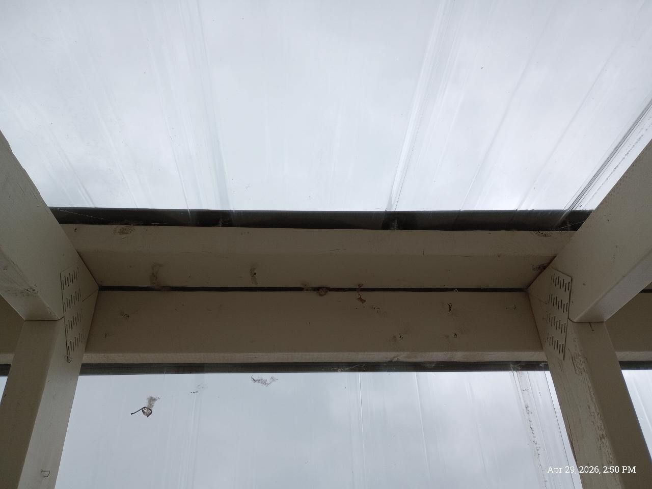 Old Hickory Buildings Greenhouse  2025