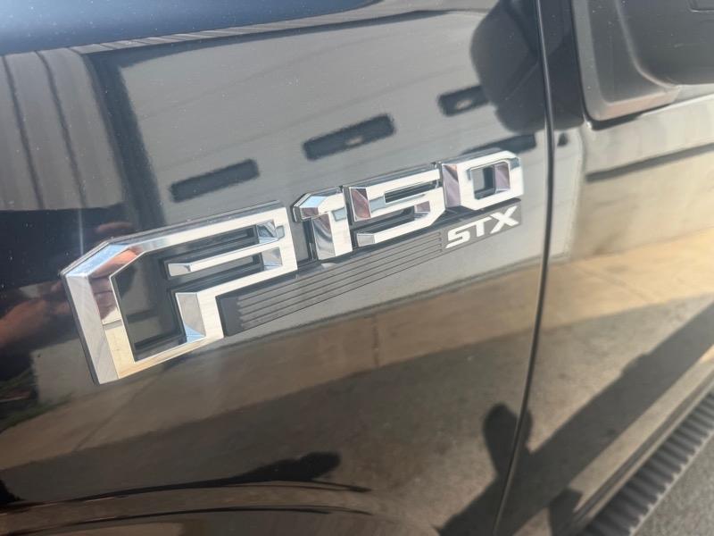 Ford F-150 4WD SuperCrew 145" STX 2019