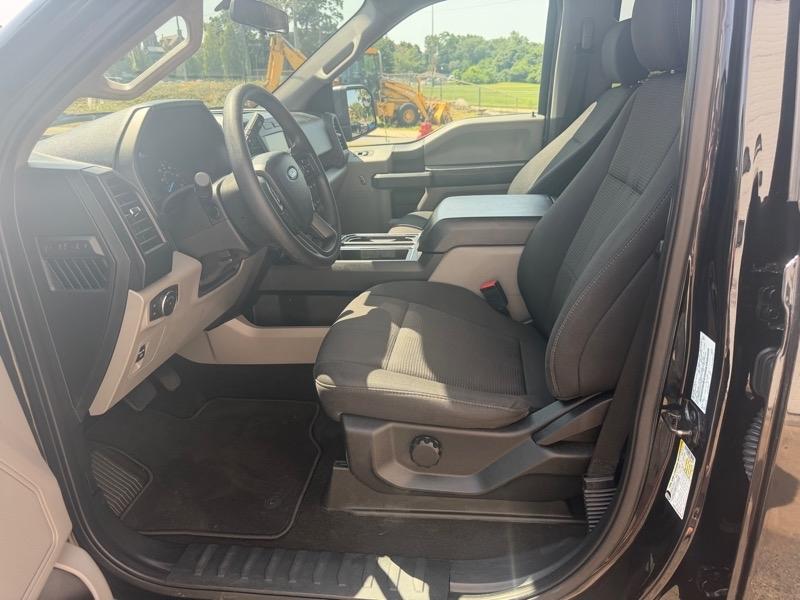Ford F-150 4WD SuperCrew 145" STX 2019