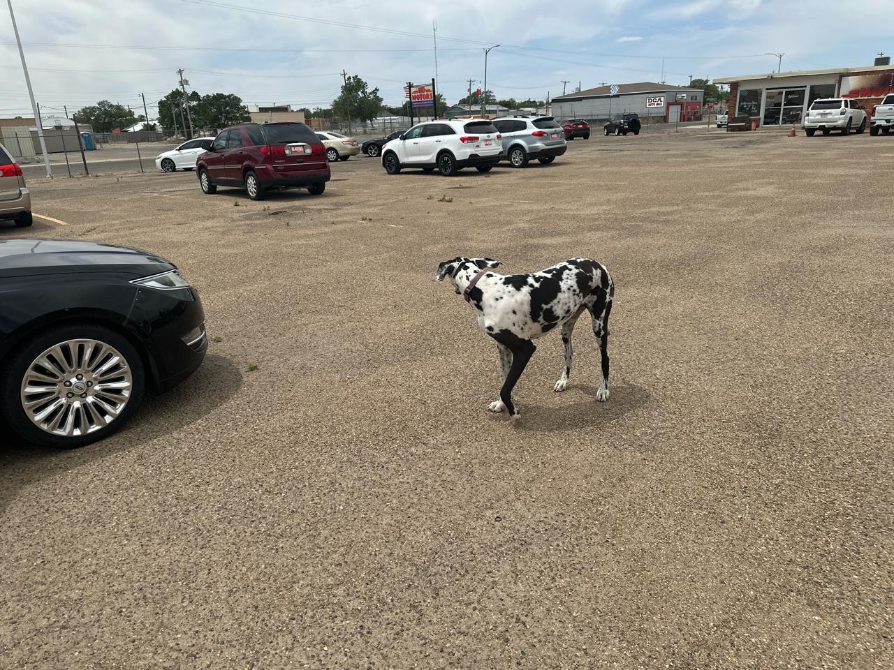 Lincoln MKZ 4dr Sdn FWD 2016