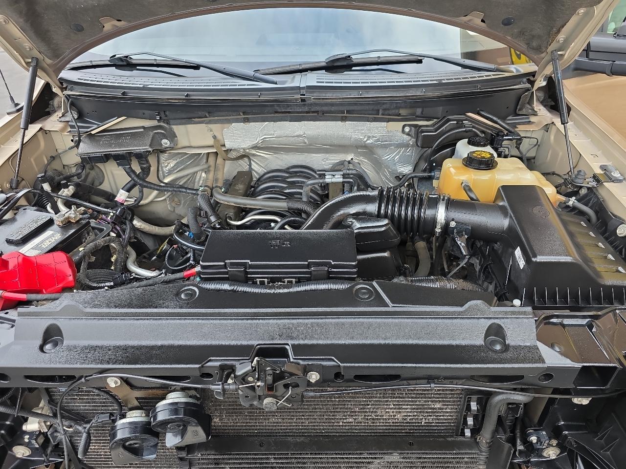 Ford F-150 4WD SuperCrew 145" XLT 2012
