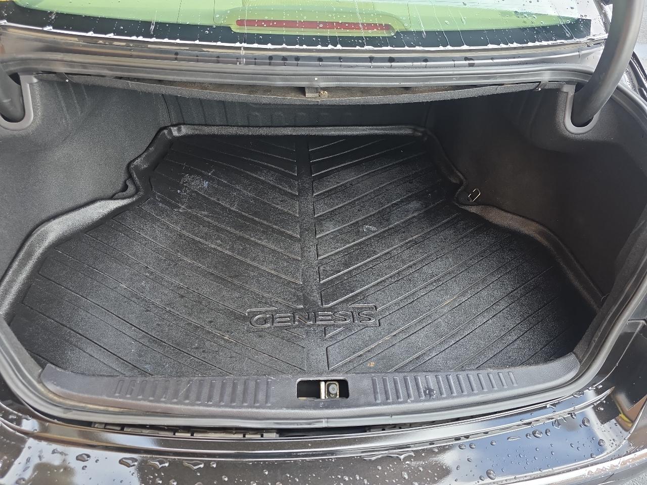 Hyundai Genesis 4dr Sdn V6 3.8L 2014
