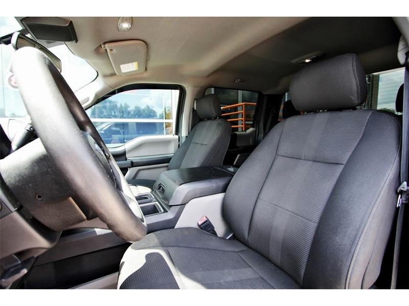 2019 Ford F-150 XL photo 8
