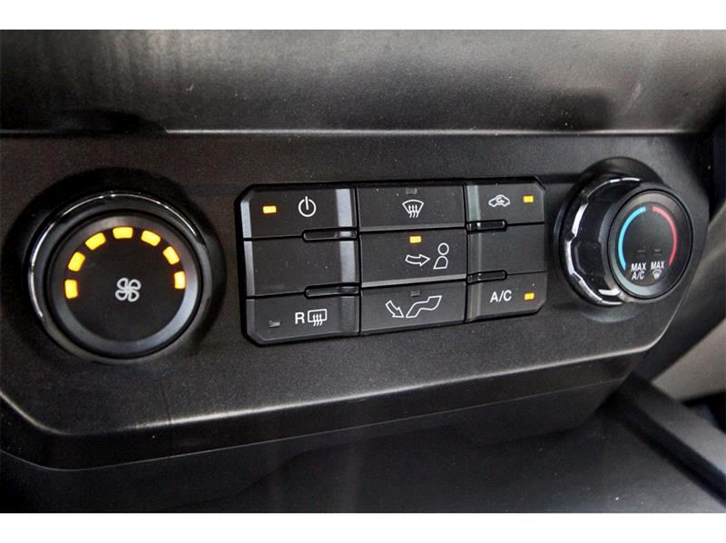 2019 Ford F-150 XL photo 13