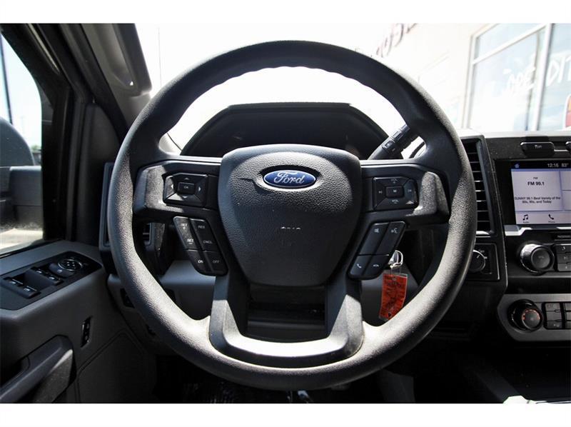 2019 Ford F-150 XL photo 15