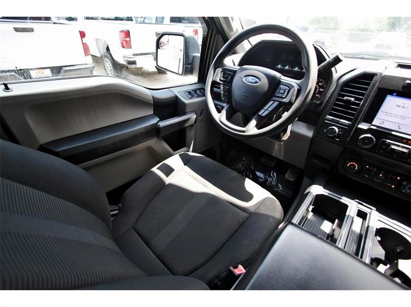 2019 Ford F-150 XL photo 18