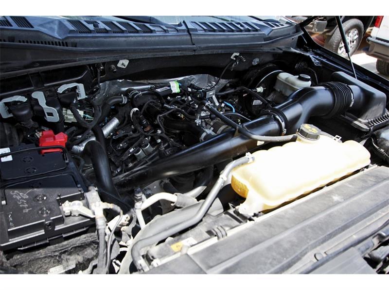 2019 Ford F-150 XL photo 28