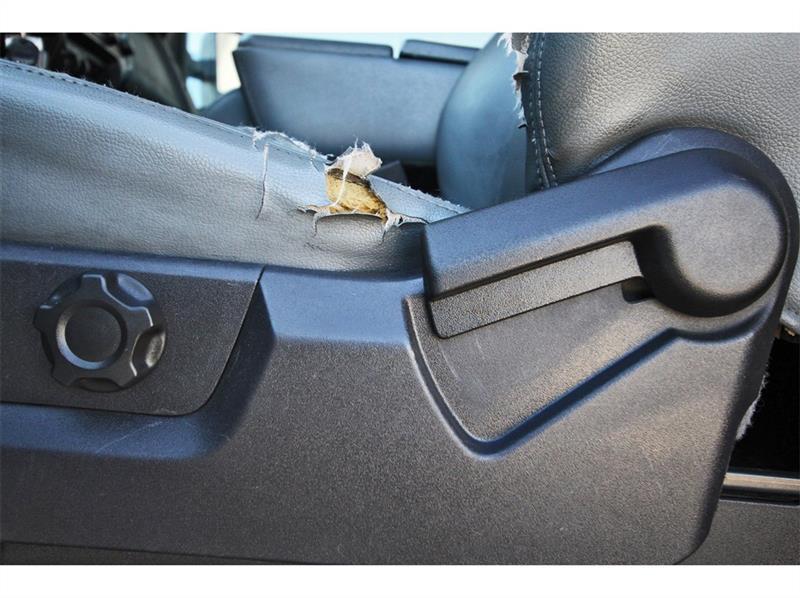 Ford Super Duty F-350 SRW  2011