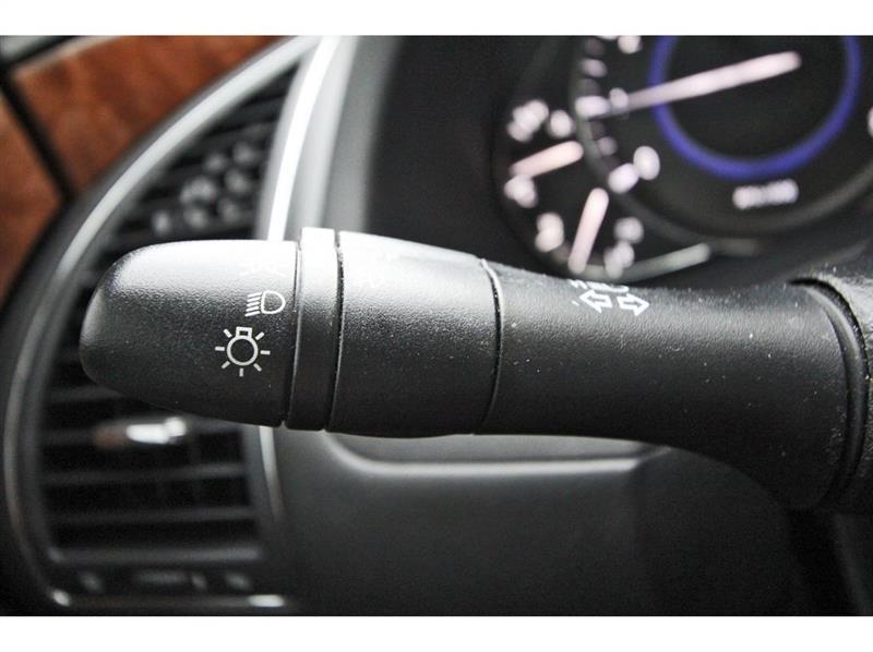 Infiniti QX80  2019