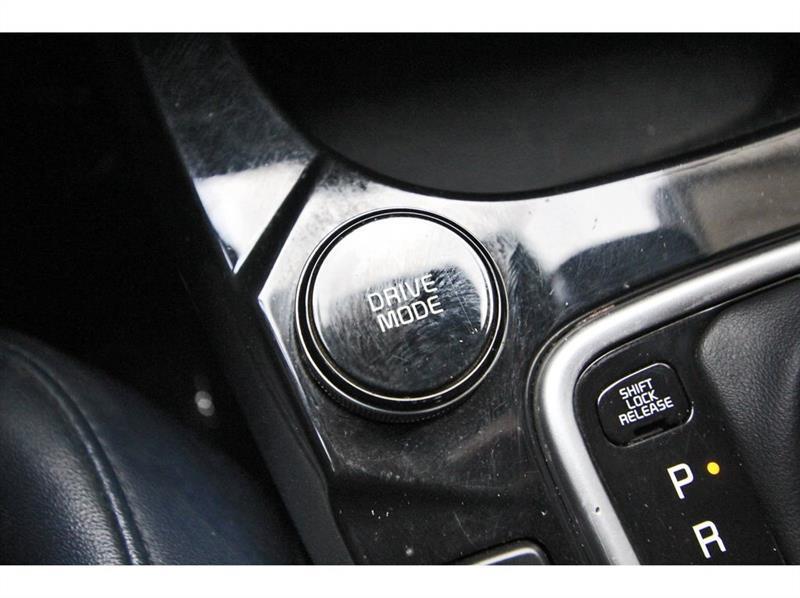 Kia Seltos  2024