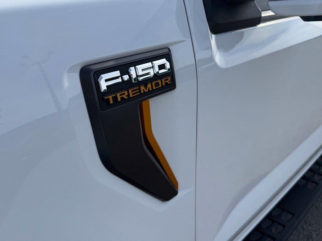 Ford F-150 photo 8