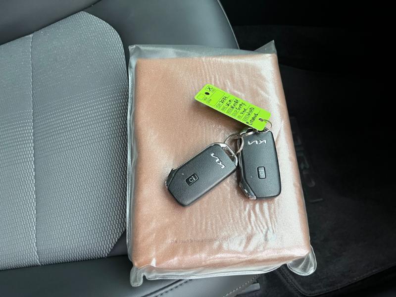 Kia Niro EV Wind 2024