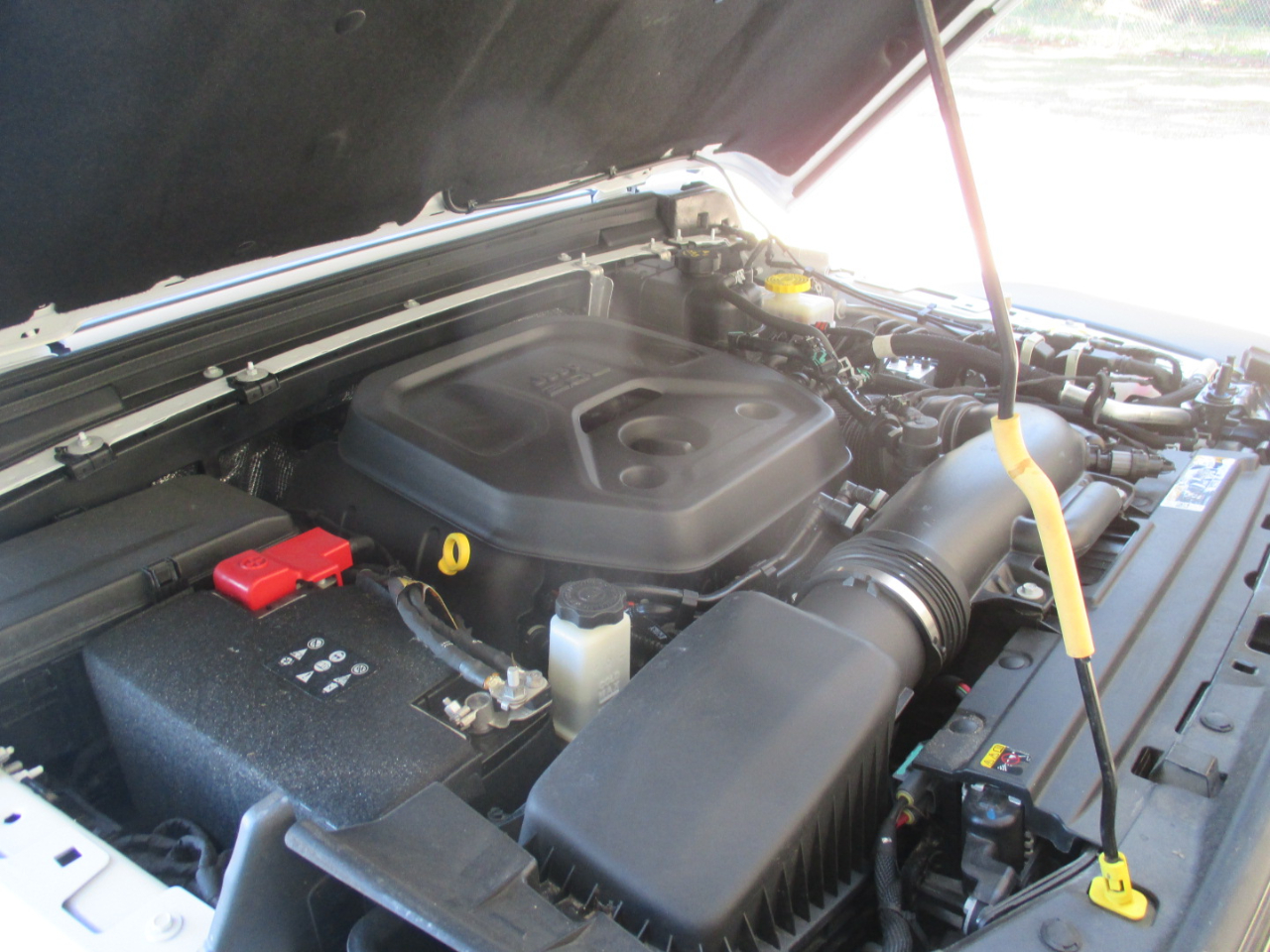 Jeep Wrangler Willys 2024