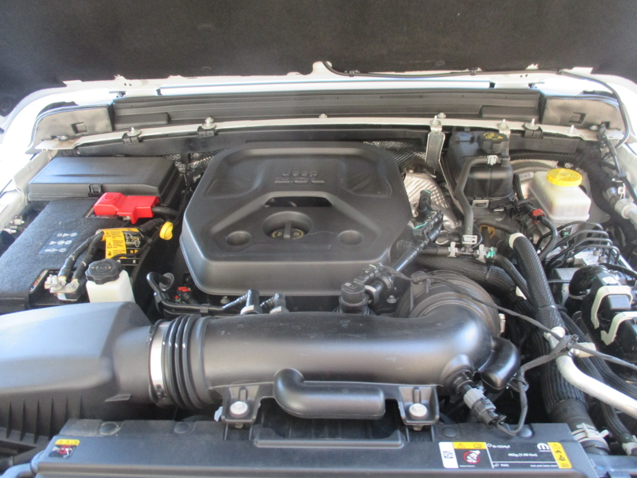 Jeep Wrangler Willys 2024