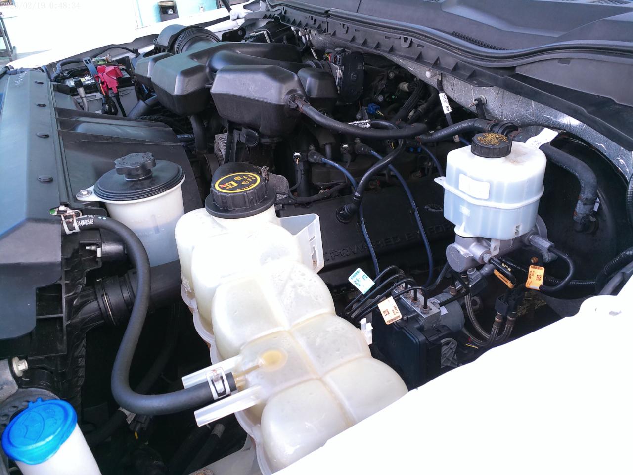 Ford F-250 SD XL 2WD 2019