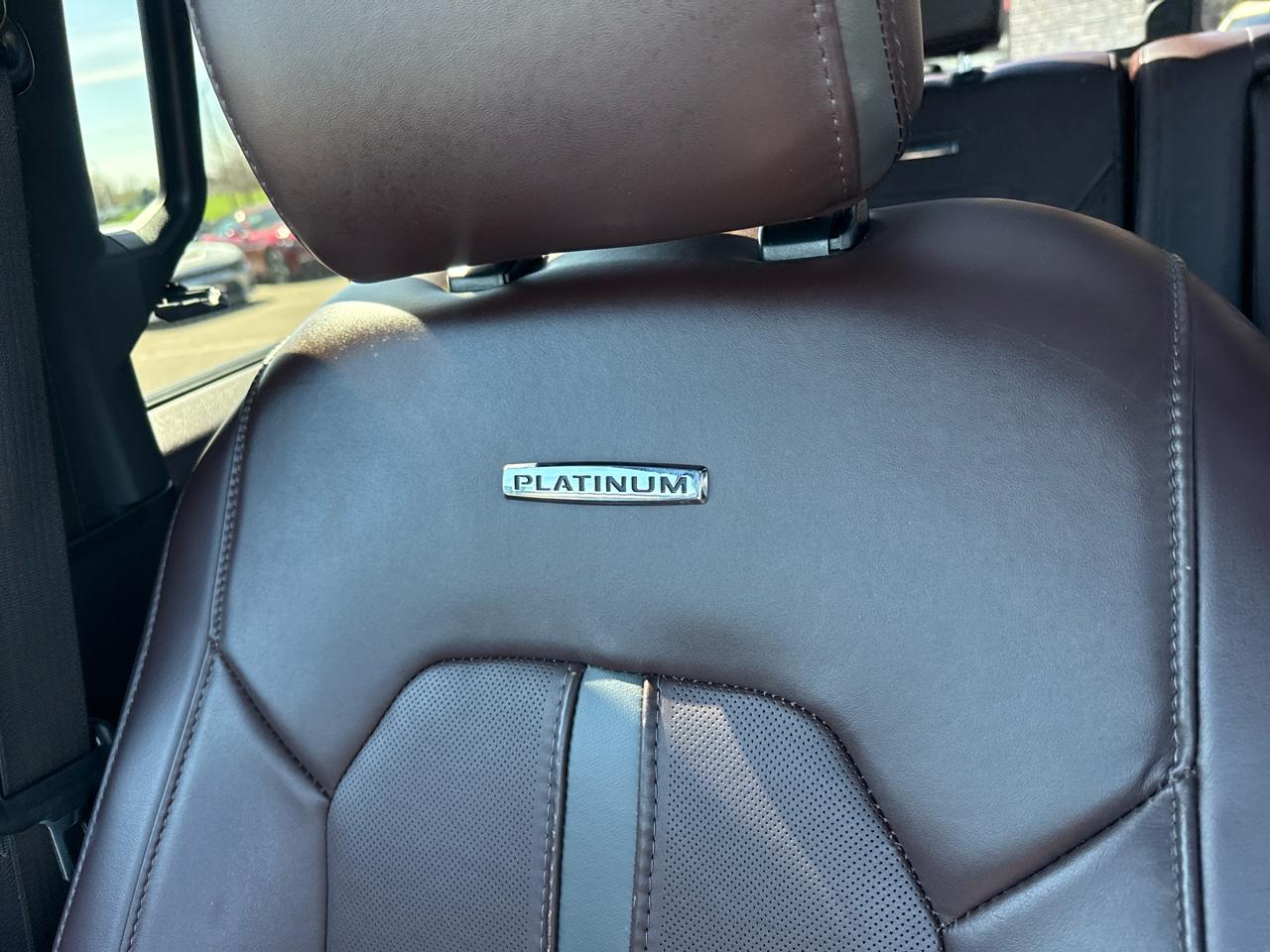 Ford F-250 SD Platinum Crew Cab 4WD 2017