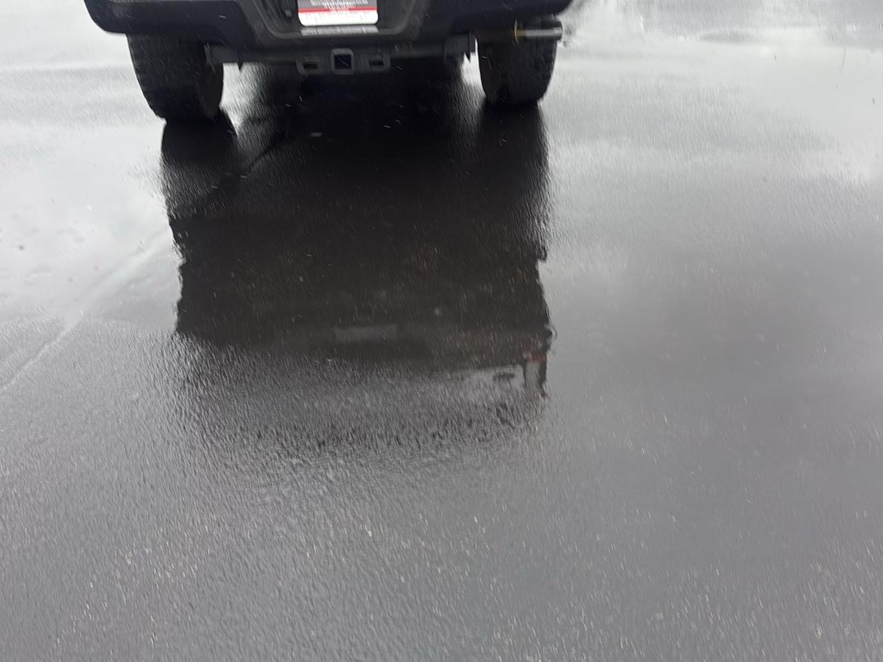 Ford F-250 SD Platinum Crew Cab 4WD 2019