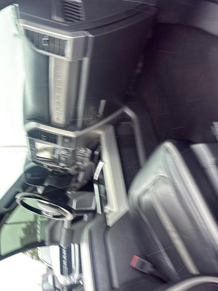 Ford F-250 SD Platinum Crew Cab 4WD 2019