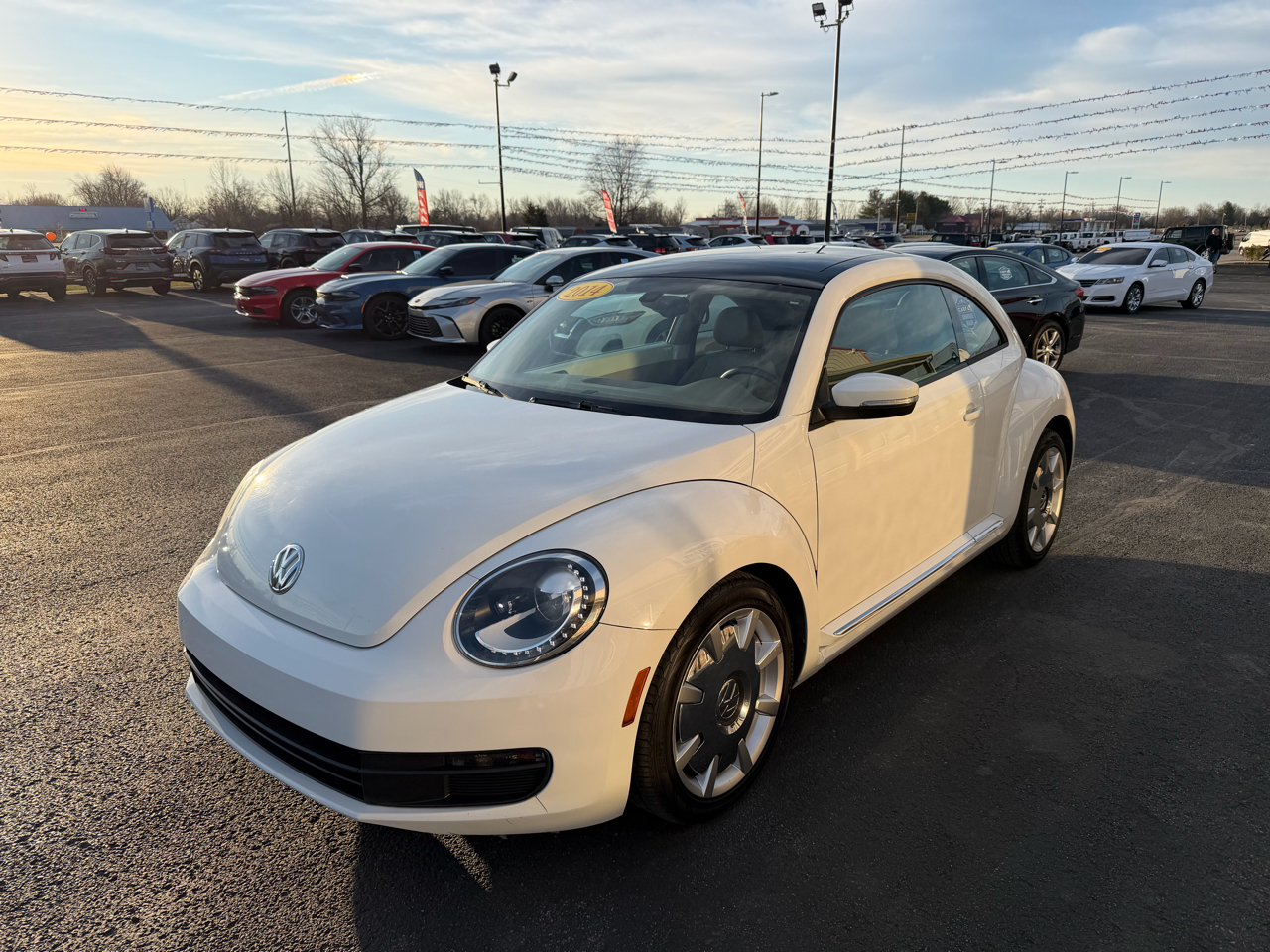 Volkswagen Beetle Coupe 2dr Auto 1.8T SE 2016