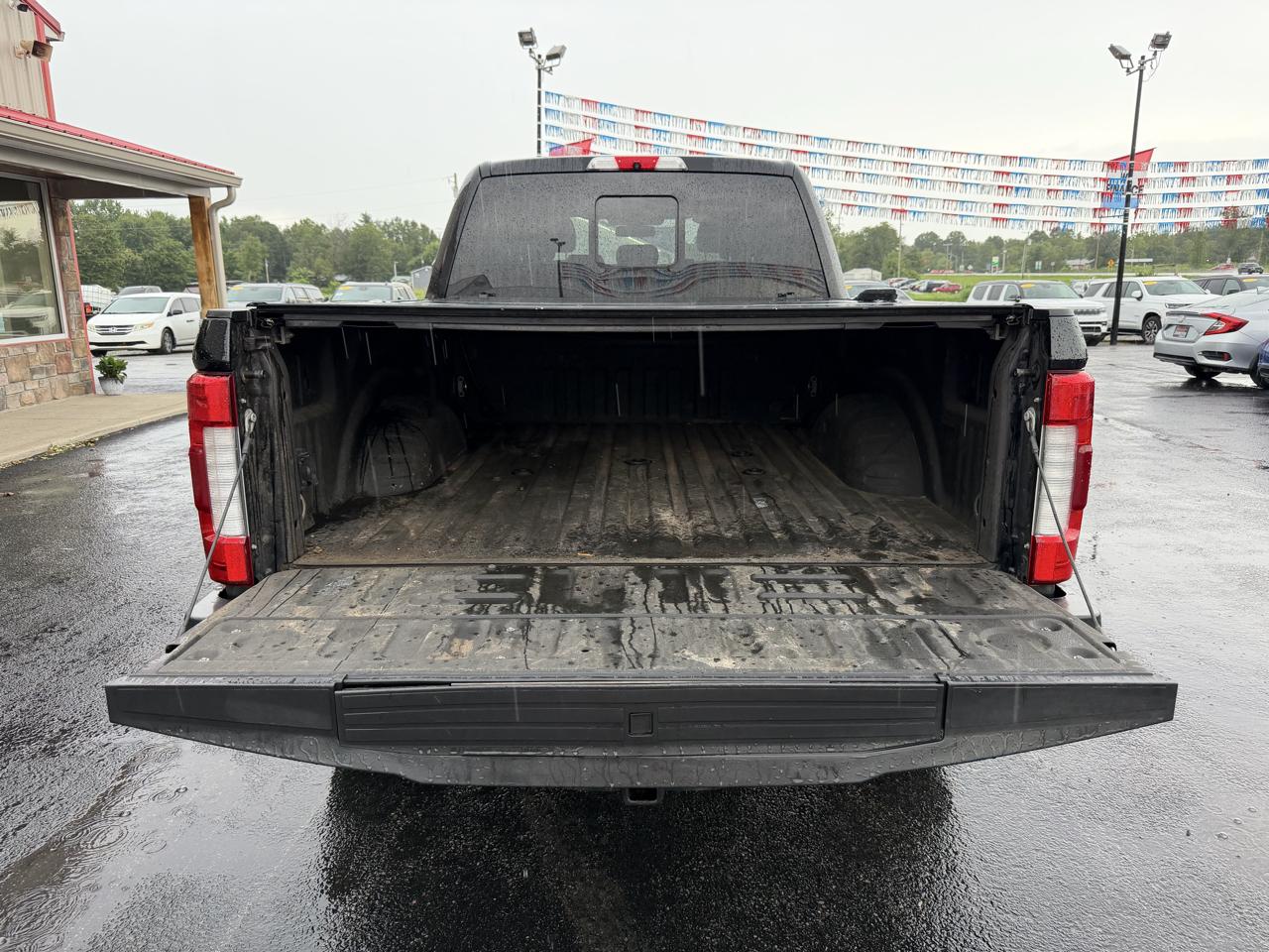 Ford Super Duty F-250 SRW 4WD Crew Cab 156" Platinum 2017