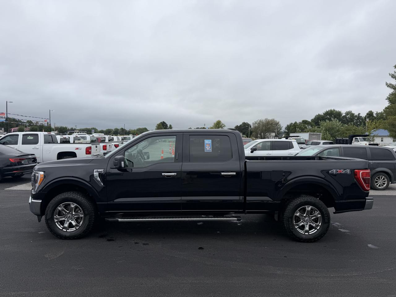 Ford F-150 4WD SuperCrew 145" XLT 2023
