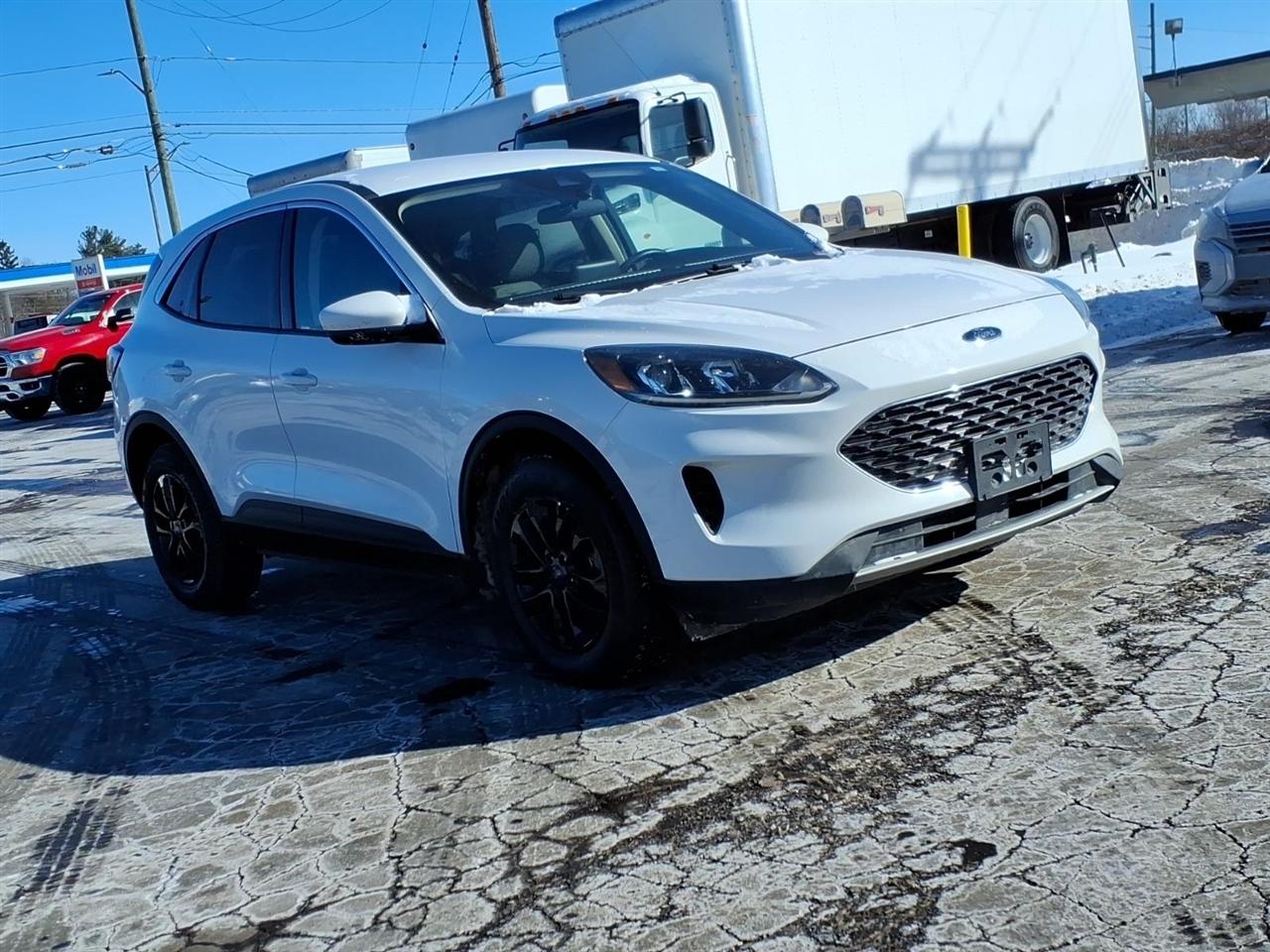 Ford Escape  2020
