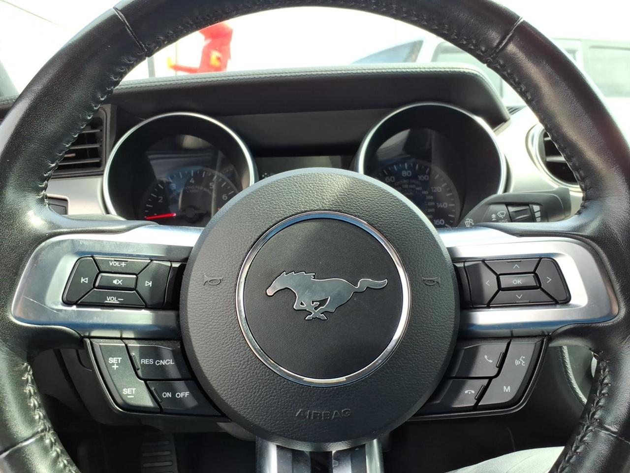 Ford Mustang  2023