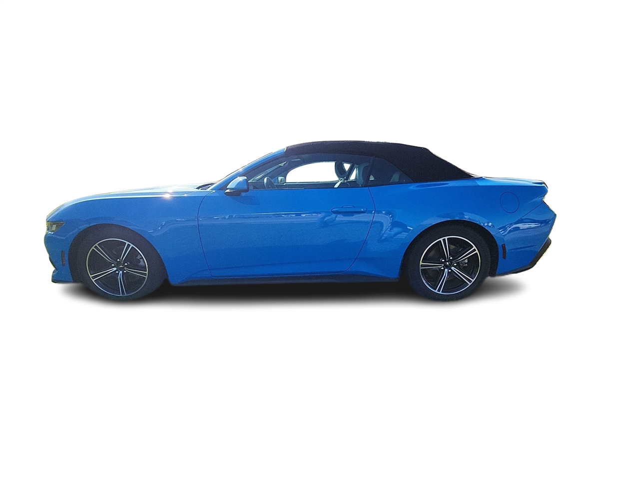 Ford Mustang EcoBoost Convertible 2024 Ford Mustang EcoBoost Convertible 2024