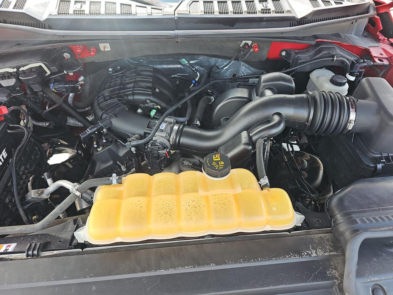 Ford F-150 XLT 4WD Reg Cab 6.5' Box 2017