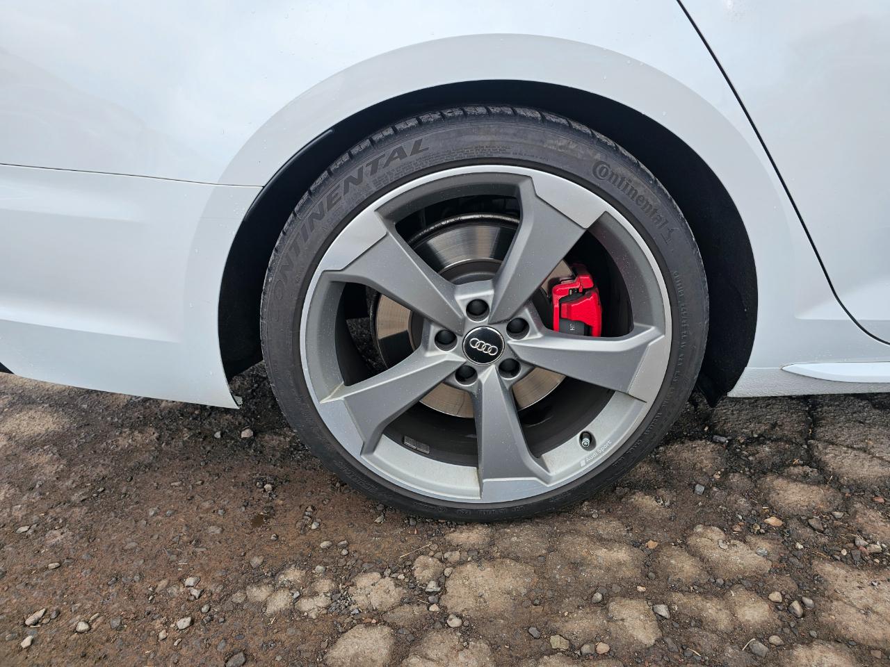 Audi S4 Premium Plus quattro 2019