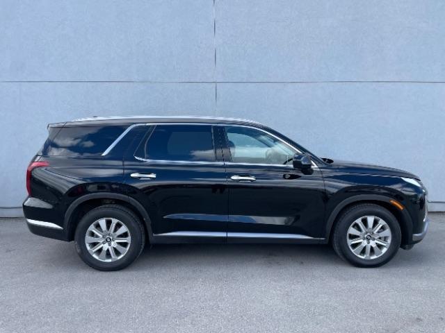 Hyundai Palisade  2024