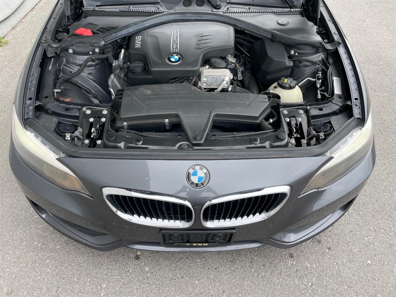 BMW 2 Series  2015