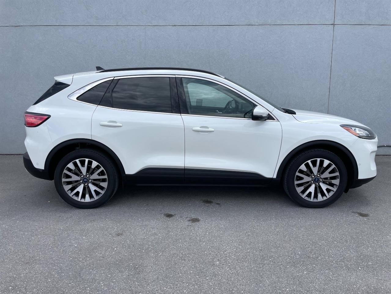 Ford Escape  2020