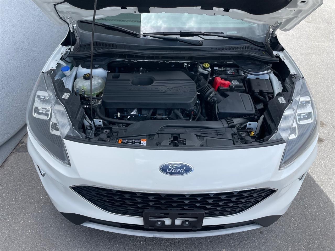 Ford Escape  2020