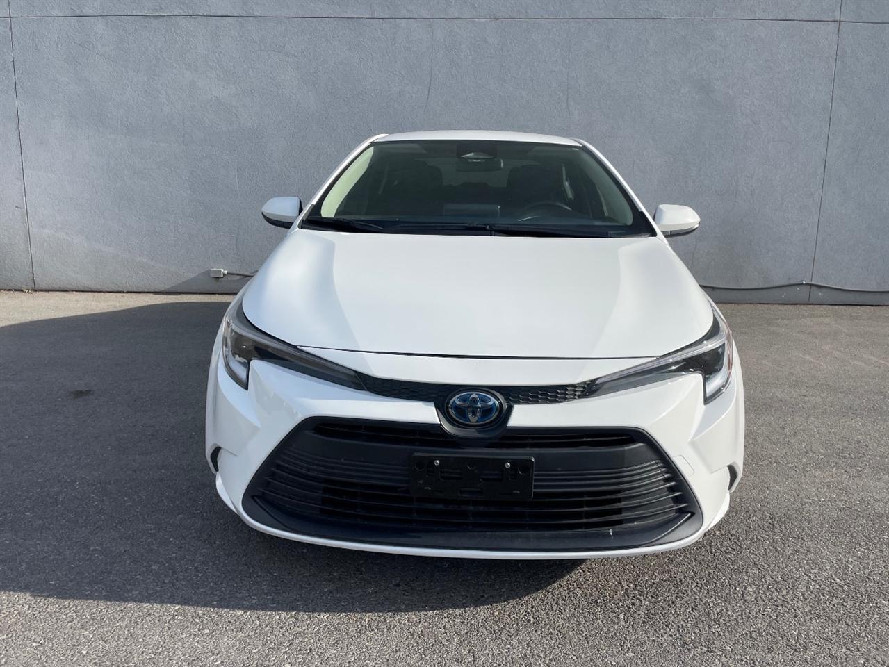 Toyota Corolla  2024
